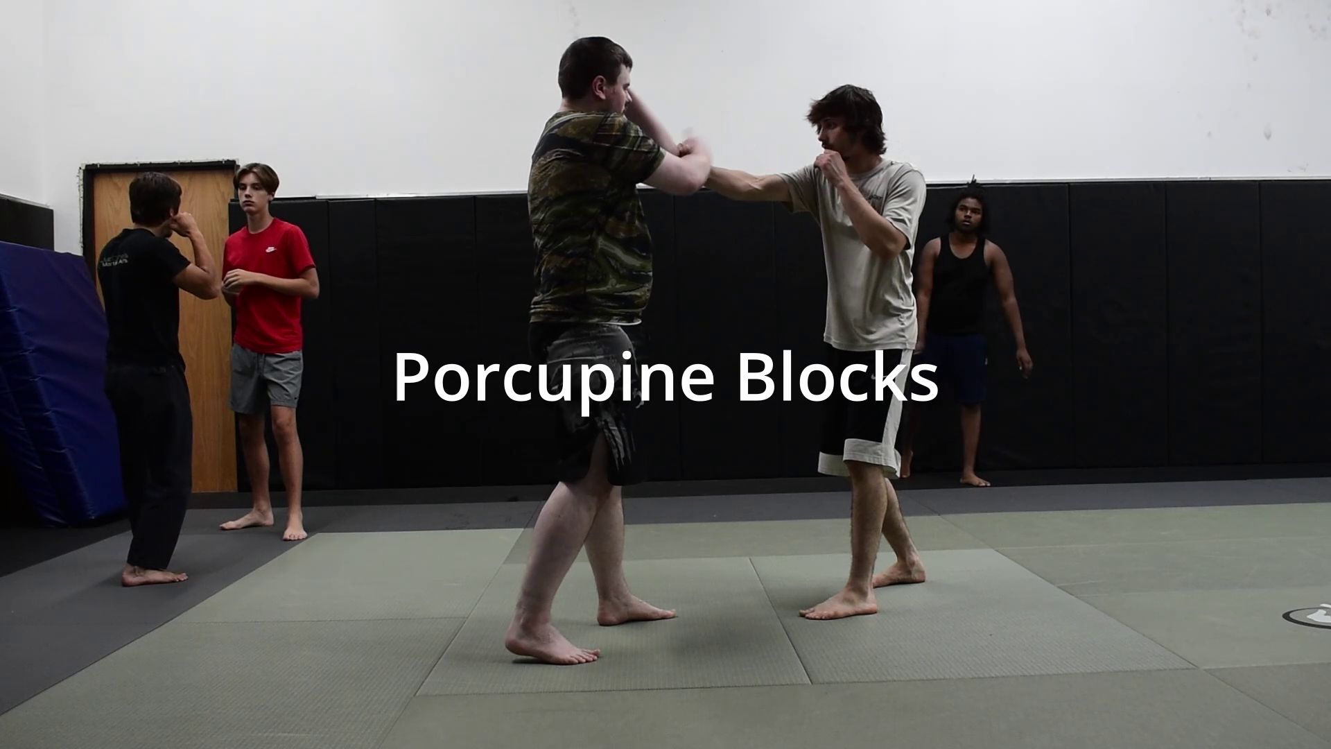 porcupineblock